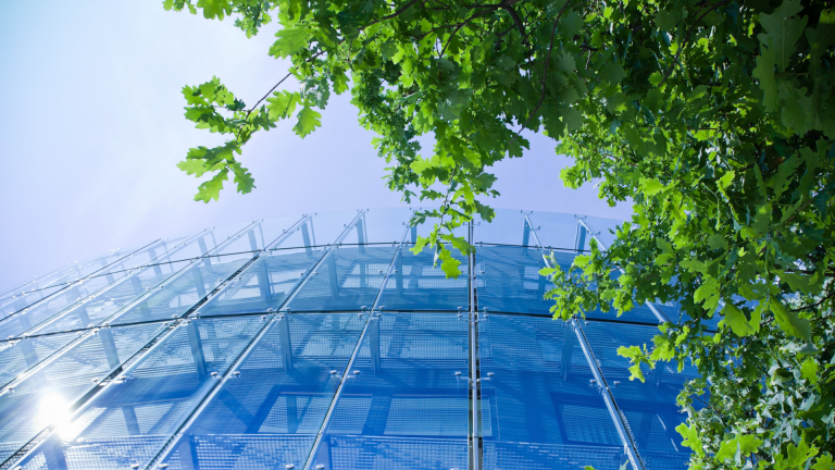 Four Ways Your Business Can Be More Green